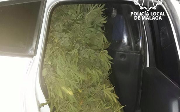 Parte del material intervenido, dentro de la patrulla de la Policía Local