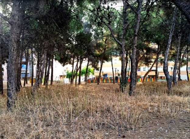 La falta de limpieza afecta a zonas recreativas e infantiles. :: a. g.