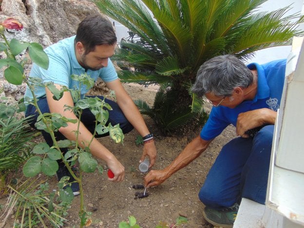 Recogida de las heces en la vía pública. :: sur