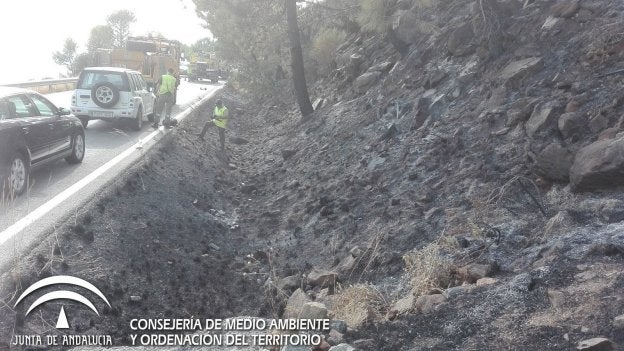 Zona afectada por las llamas. :: infoca