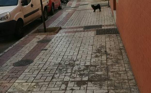 Acera sucia en la calle Altozano.