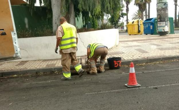 Servicios municipales limpiando las alcantarillas en el Limonar, esta mañana.