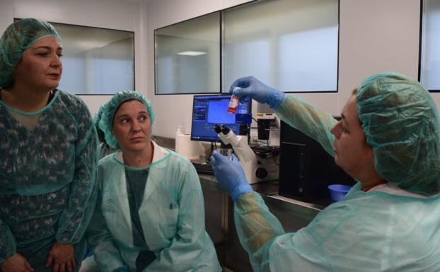 Los trasplantes de córnea aumentarán hasta un 30% con el nuevo banco de ojos de Málaga