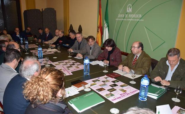 Un momento de la reunión mantenida ayer en la sede del Gobierno andaluz en Málaga.