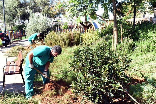 Personal municipal en tareas de mantenimiento de zonas verdes públicas. /Josele-Lanza -