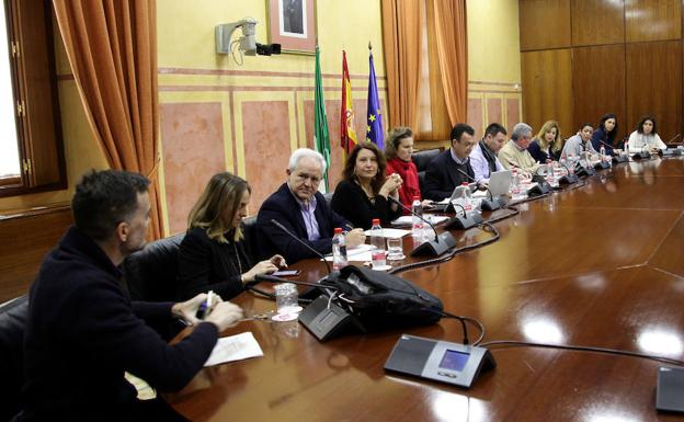 El Grupo de Trabajo relativo a Financiación Autonómica celebra una nueva sesión con la asistencia de comparecientes./P. A,