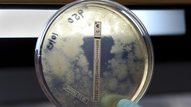 La vacunación, clave para prevenir varios tipos de meningitis