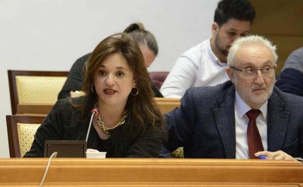Margarita del Cid, en el pleno de ayer./A. G.