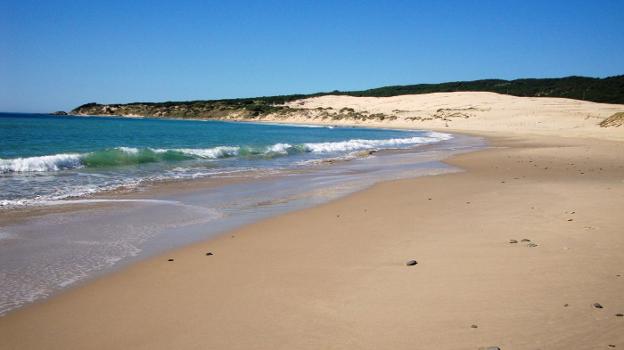 El litoral andaluz luce de gala en primavera. :: sur/