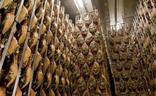 Alerta alimentaria: si tiene jamón o fiambre de estas marcas absténgase de consumirlo