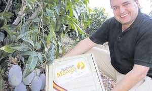 La firma que regenta Werner Stenzig envía cajas de fruta a clientes particulares de diversos países./ SUR/