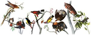 Doodle de Google de hoy martes 26 de abril./