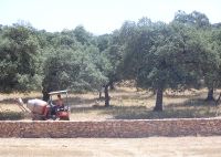 PROYECTO. La empresa que impulsa el campo de golf y las viviendas insiste en que todo es legal. / G. R./