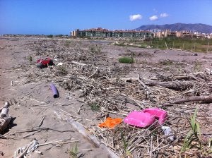 Las cañas arrastradas a la arena se mezclan con plásticos, basuras y cristales. ::
SALVADOR SALAS/