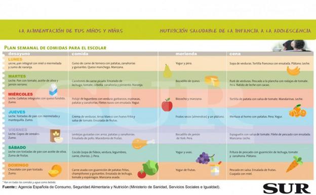 Desayunos Almuerzos Y Cenas Saludables Para Ninos En Edad Escolar Diario Sur