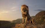 La nueva versión de 'El rey león' fue la película más vista en Andalucía en 2019./SUR