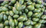 El buen precio del aguacate atrae a los ladrones de esta fruta en el campo./A. P.