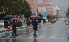 Último episodio de lluvias en Málaga capital, a principios de este mes./ñito salas. archivo