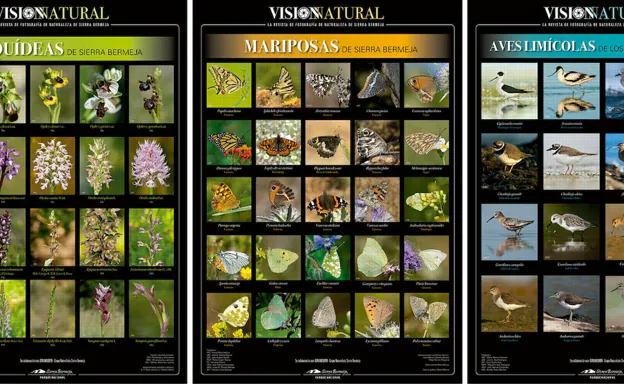 Los tres primeros carteles editados por GRUNSBER, la plataforma Sierra Bermeja Parque Natural y la revista Visión Natural. 