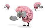 Pescado azul, nueces, media hora de caminata y macramé, grandes aliados contra el Alzheimer