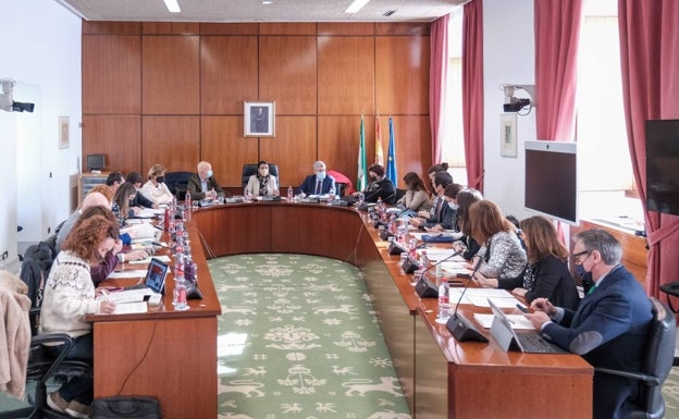 Vox corrige y evita la celebración del pleno monográfico sobre salud propuesto por el PSOE