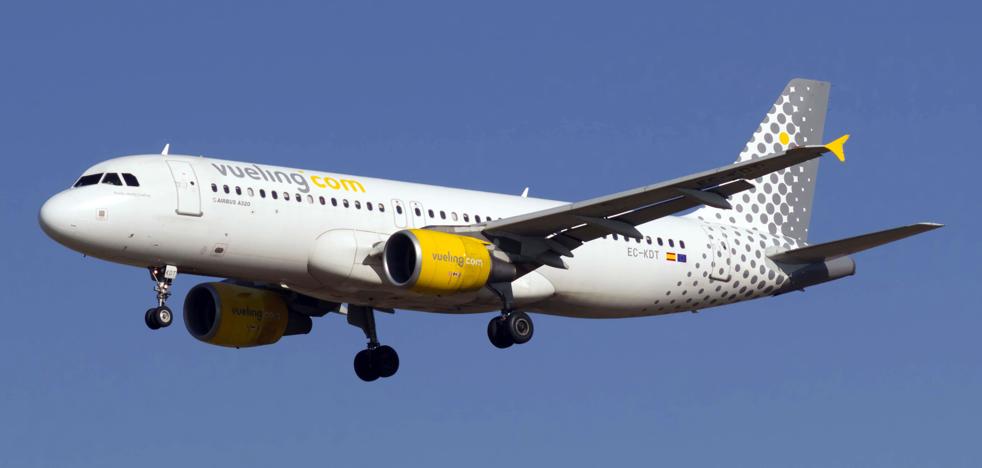 Vueling seleccionará tripulantes de cabina en Málaga el próximo día 8 |  Diario Sur