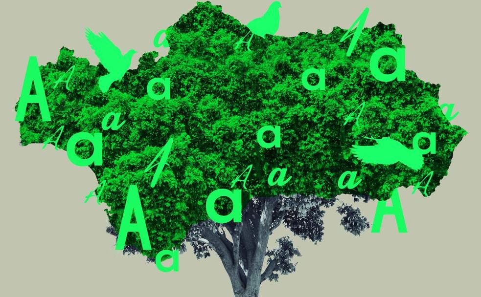 28F: El Desafío Andaluz