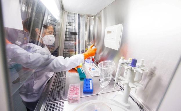 Madrid descubre el primer caso de viruela del simio en una mujer