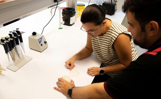 Dos de los investigadores del IHSM La Mayora, con varias muestras del bioplástico que han elaborado. 
