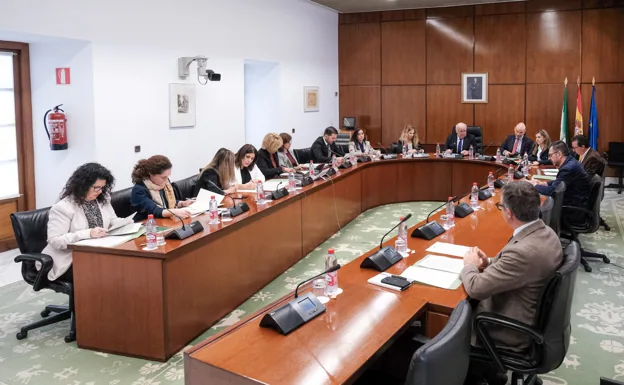 Reunión de los ponentes este miércoles en el Parlamento.