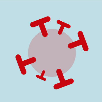 Última hora sobre el Covid-19