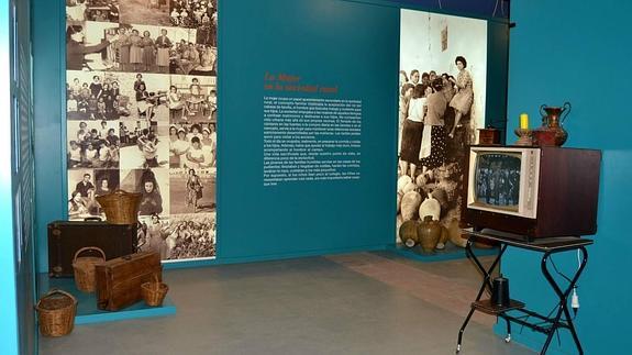 Foto de Museo de la Vida en Campillos, Málaga