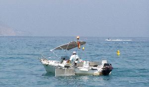 El Consistorio urge la contratación de más barcos para la limpieza de